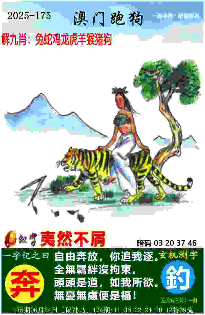 【楠楠自语】约基奇，六边形战士！